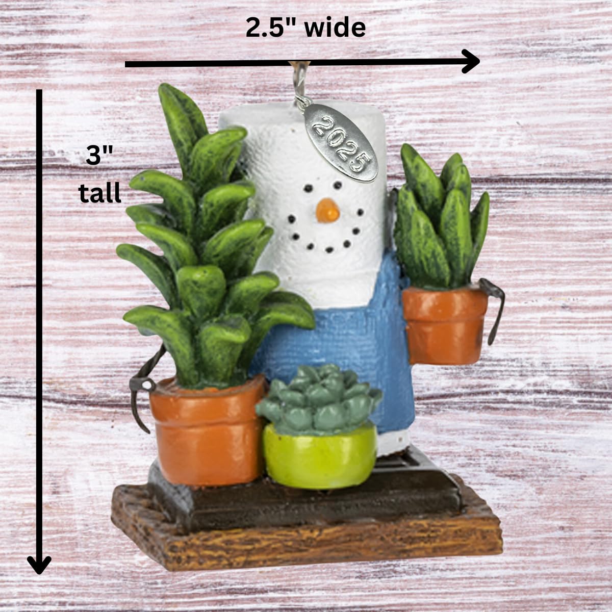 Lady Gifts, Smores Plant Ornament for a Plant Lover - Comes in a Gift Box