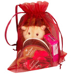 Valentines Day Gifts - 3 Pc Valentines Gift Set - Valentine Hedgehog Plush Friend with 1.75 oz Russell Stover Chocolate Heart Candy