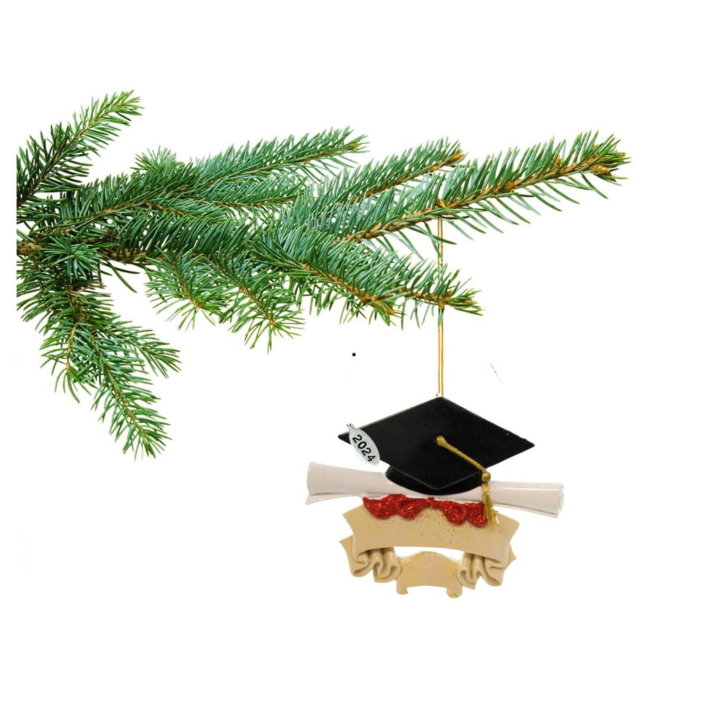 2025 Graduation Ornament, Graduation Christmas Ornament - Great for Law, Medical School - Easy to Personalize - Comes in Gift Box