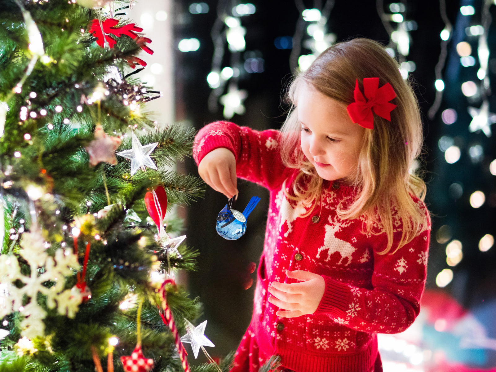 Stunning Blue Jay Sparkling Suncatcher, Acrylic Bird Ornament 2025, Comes w/ Suction Cup & Gift Box