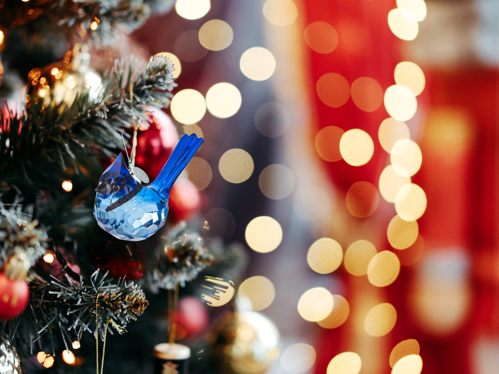 Stunning Blue Jay Sparkling Suncatcher, Acrylic Bird Ornament 2026, Comes w/ Suction Cup & Gift Box