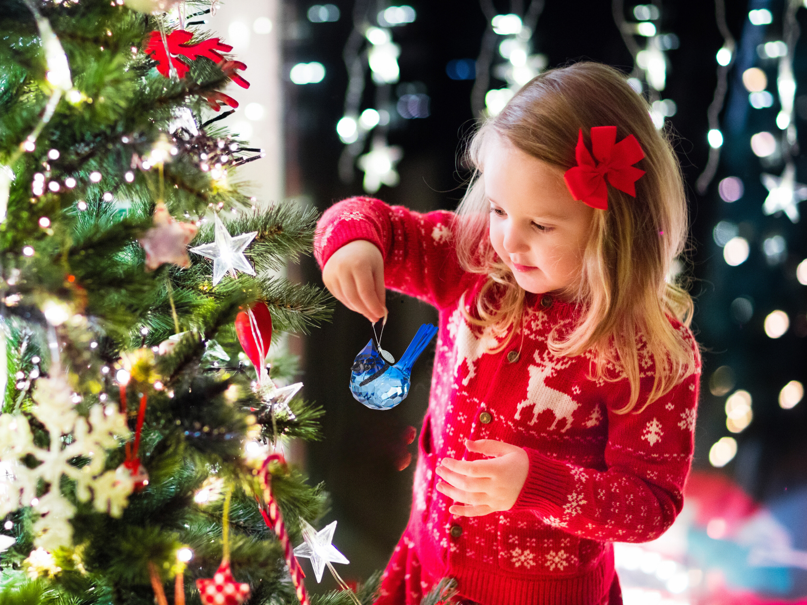 Stunning Blue Jay Sparkling Suncatcher, Acrylic Bird Ornament 2026, Comes w/ Suction Cup & Gift Box