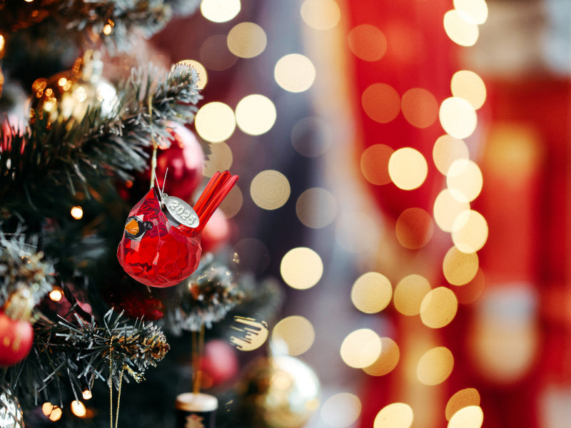 Cardinal Memorial Gift, Red Bird Cardinal Acrylic Sparkling Suncatcher Ornament, Comes w Suction Cup & Gift Box