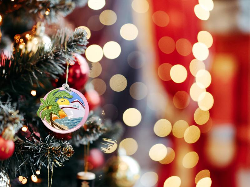 Cruise Ship Ornament - Cruise Ornament - Travel Christmas Ornaments - Can Be Easily Personalized at Home - Comes in a Gift Bag so It's Ready for Giving