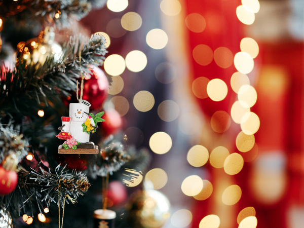 Hummingbird Ornaments, Cute Colorful Smores Hummingbird Ornament - Hummingbird Gifts, Bereavement or Memorial Gift Idea - Comes in A Gift Box