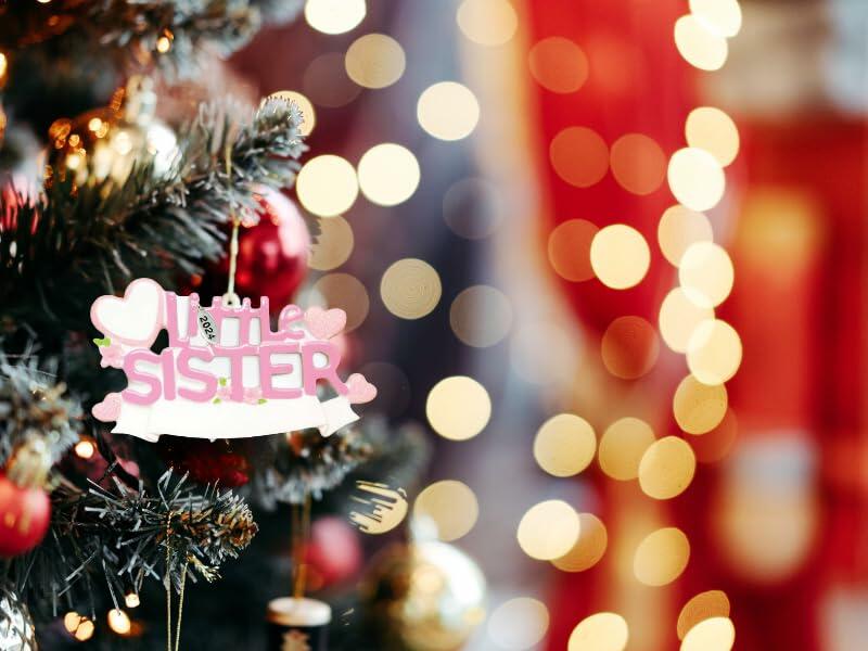 Brother or Sister Ornament 2025 - Big Brother, Big Sister, Little Brother, Little Sister Christmas Ornaments - Easy to Personalize - Comes in Gift Box So It's Ready for Giving (Little Sister - Pink)