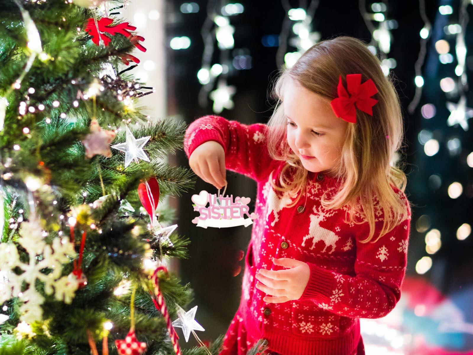 Brother or Sister Ornament 2025 - Big Brother, Big Sister, Little Brother, Little Sister Christmas Ornaments - Easy to Personalize - Comes in Gift Box So It's Ready for Giving (Little Sister - Pink)