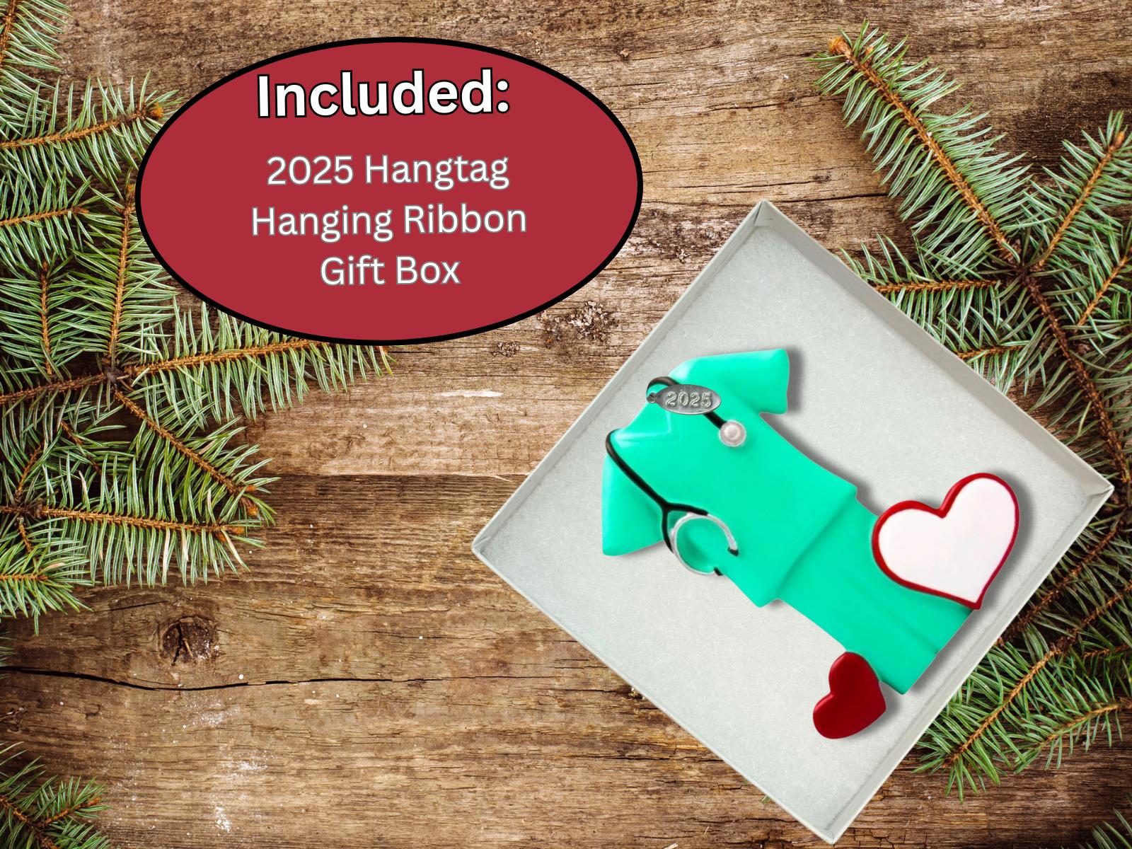 2025 Scrubs Nurse Ornament or Doctor Ornament - Can Be Personalized - Great for Medical Student Gifts, Doctor Gifts or Nurse Gifts - Comes in a Pretty Organza Gift Bag so its Ready for Giving